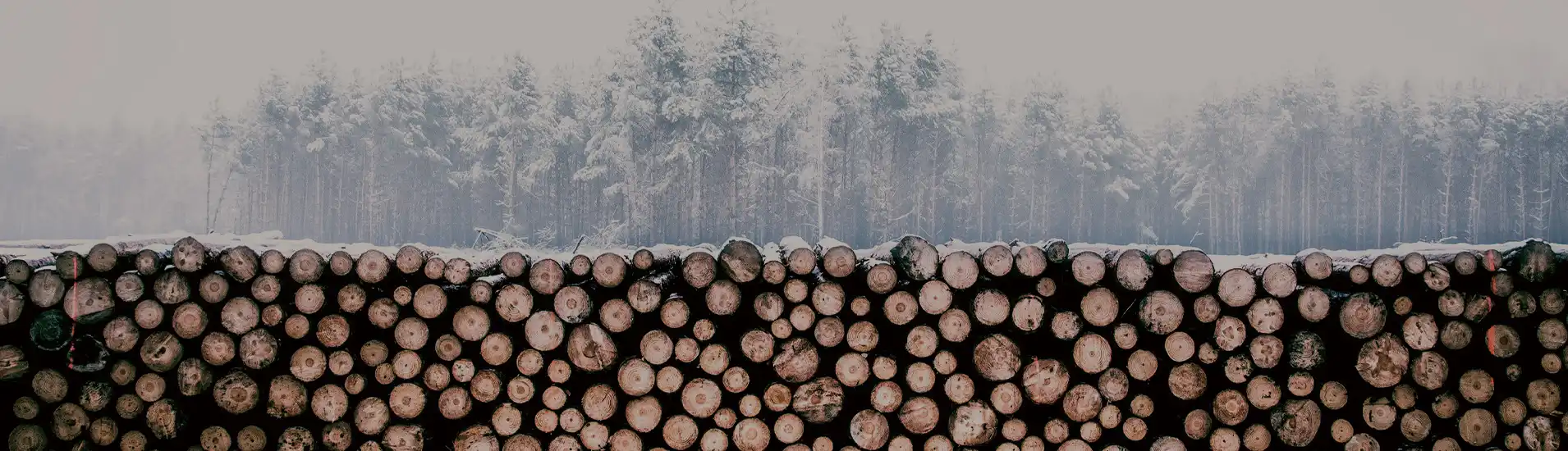 Fábrica de madera