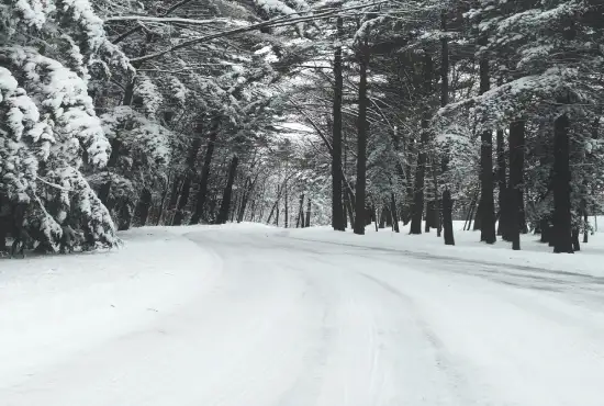 Campo de nieve