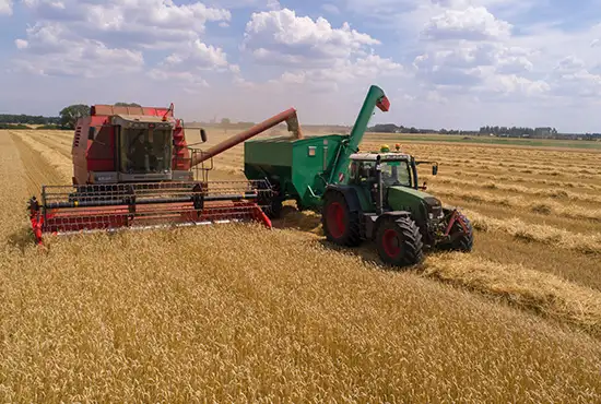 farming-activities