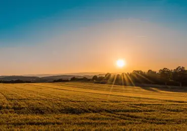 farming-activity