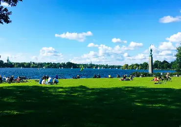lawn-attachment