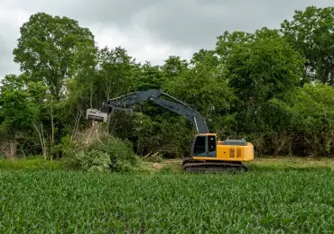 forestry-project