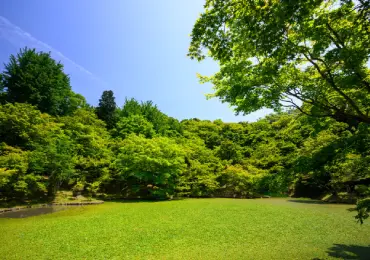 landscap-site