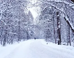 snowy-climate