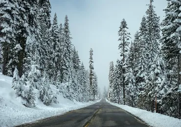 snow-removal-site