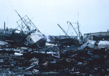 storm-cleanup