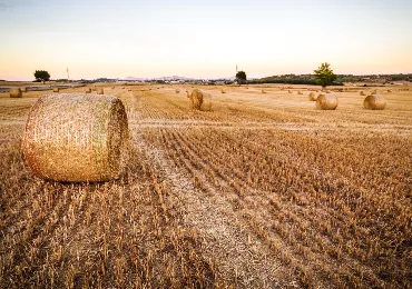 farm-tasks