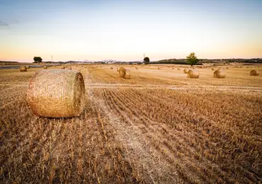 wheel-loader-uses