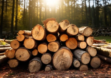 logging-equipment
